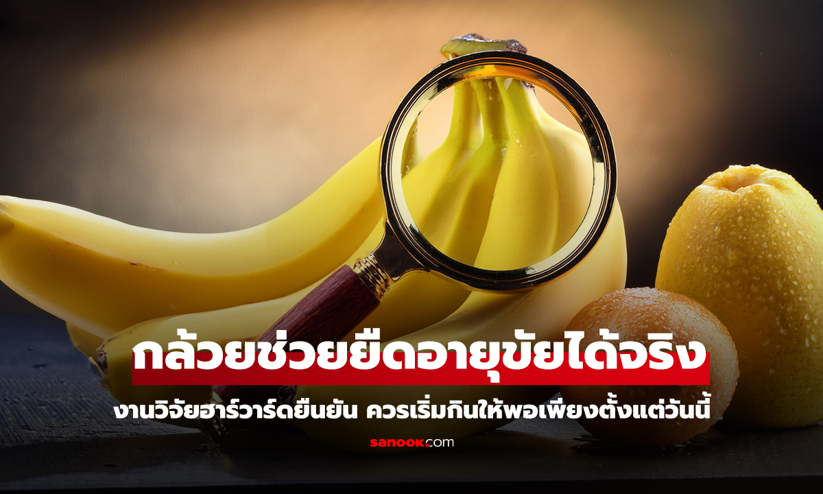 กล้วยช่วยยืดอายุขัยได้จริง งานวิจัยฮาร์วาร์ดยืนยัน ควรเริ่มกินให้พอเพียงตั้งแต่วันนี้
