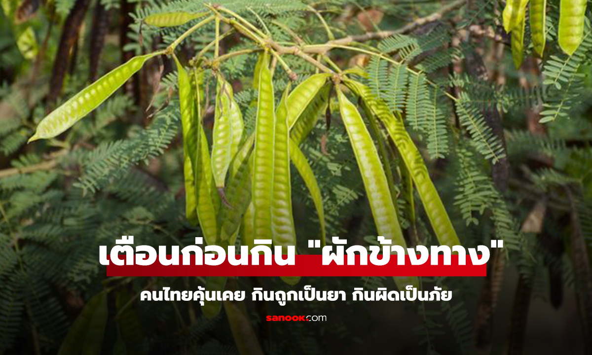 คลิป เตือนก่อนกิน 