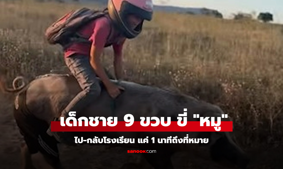คลิป เด็กชาย 9 ขวบ ขี่ 