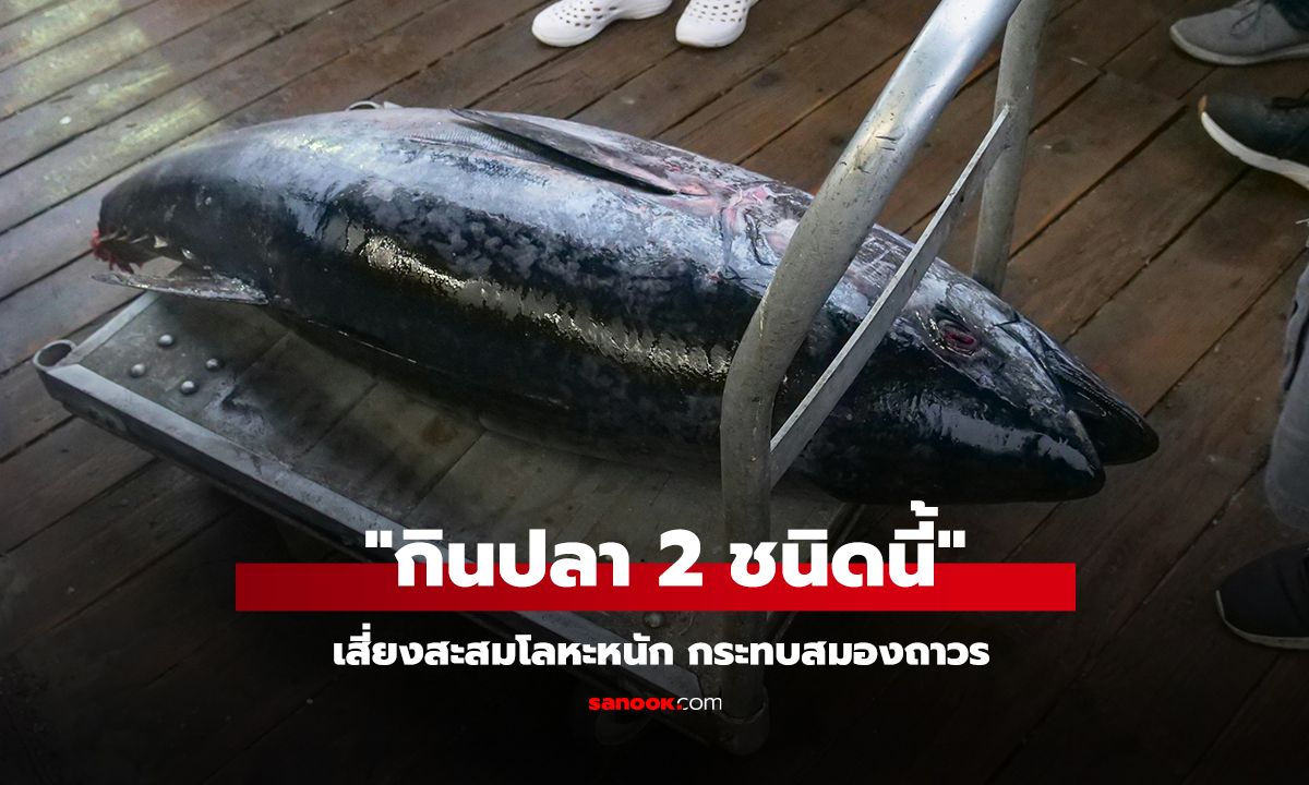คลิป หมอเตือน 