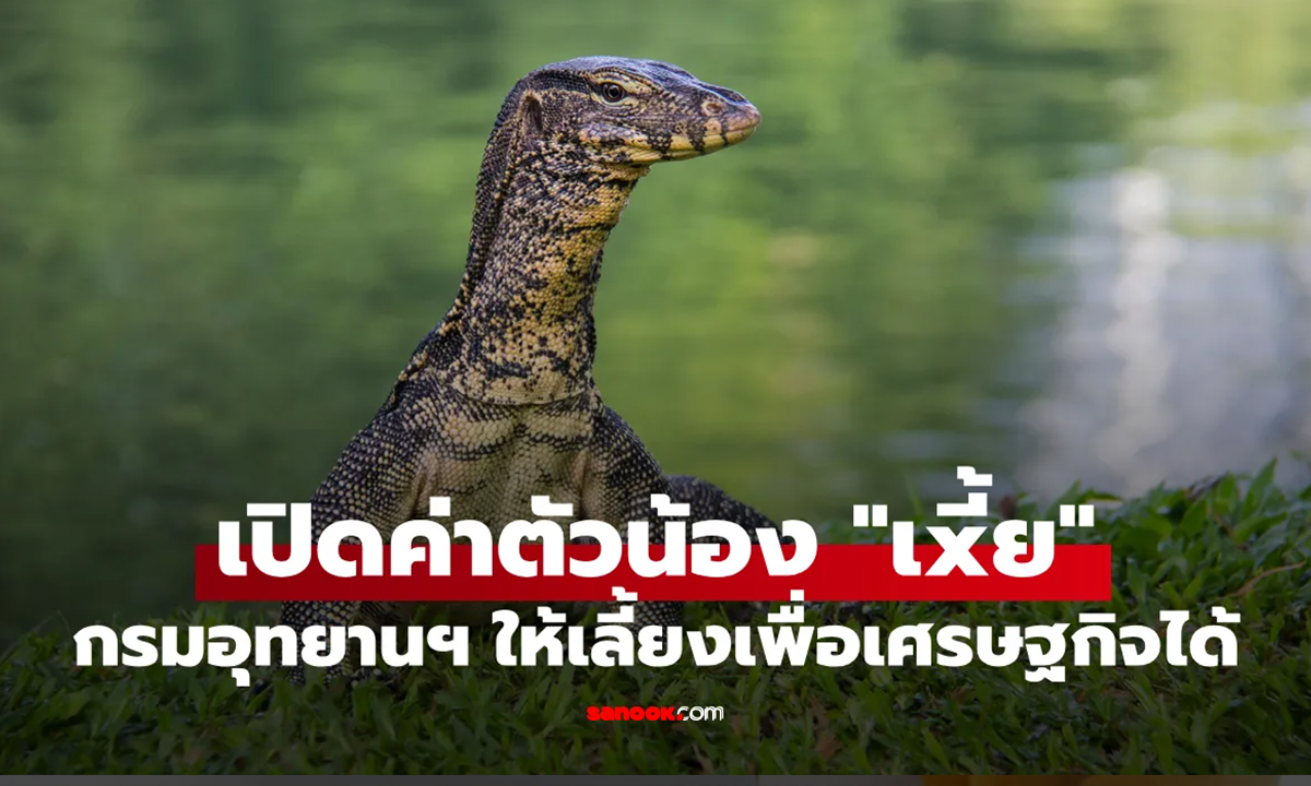 เปิดค่าตัวน้อง ตัวเงินตัวทอง สัตว์เศรษฐกิจใหม่ จะเลี้ยงได้ต้องได้รับอนุญาตก่อน