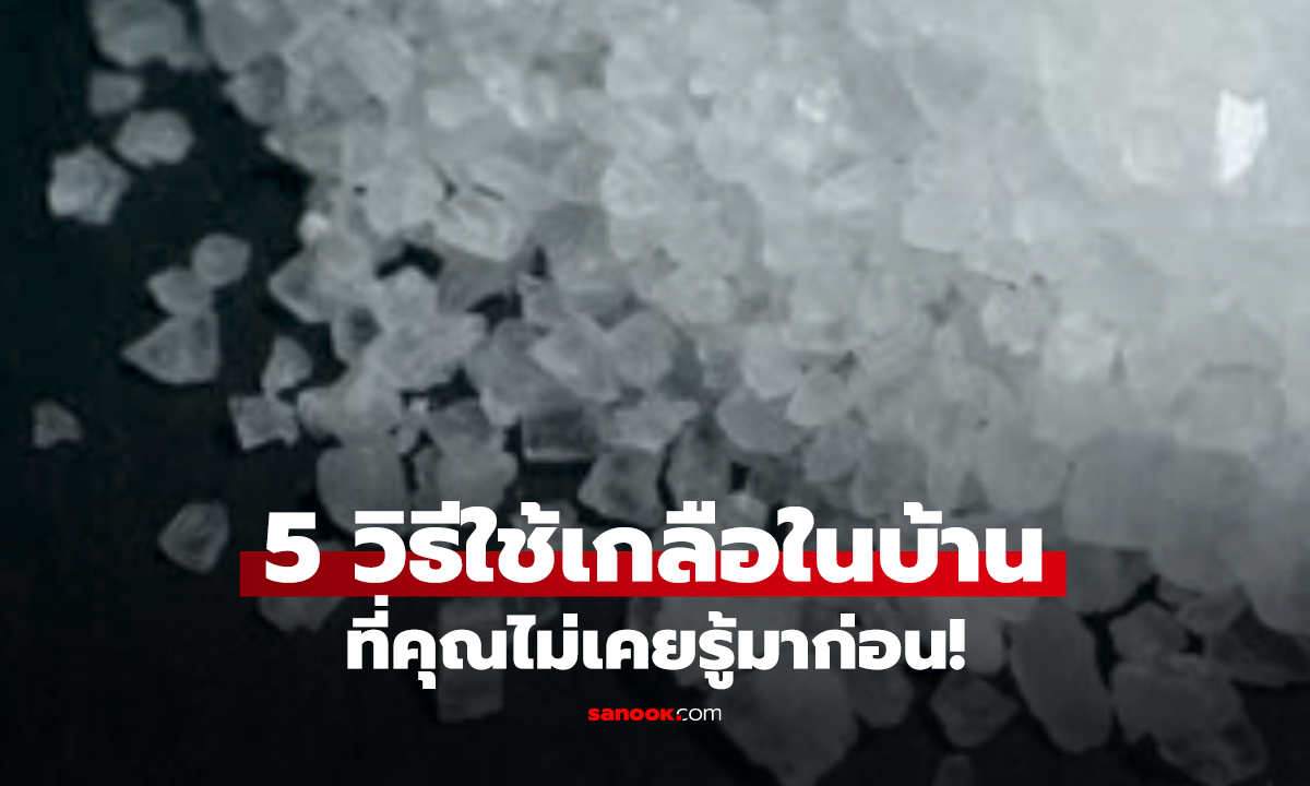 โรย “เกลือ” แค่หยิบมือ! สะอาดทั้งบ้าน ไม่ง้อสารเคมี!
