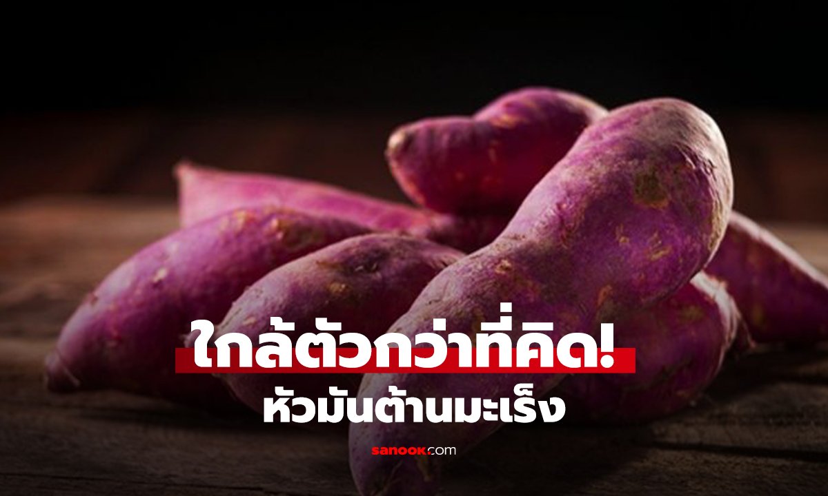 หัวมันชนิดนี้! ไม้ตายต้านมะเร็งที่หลายคนมองข้าม ไทยมีขายเกลื่อน แต่ประโยชน์เทียบซูเปอร์ฟู้ดระดับโลก!