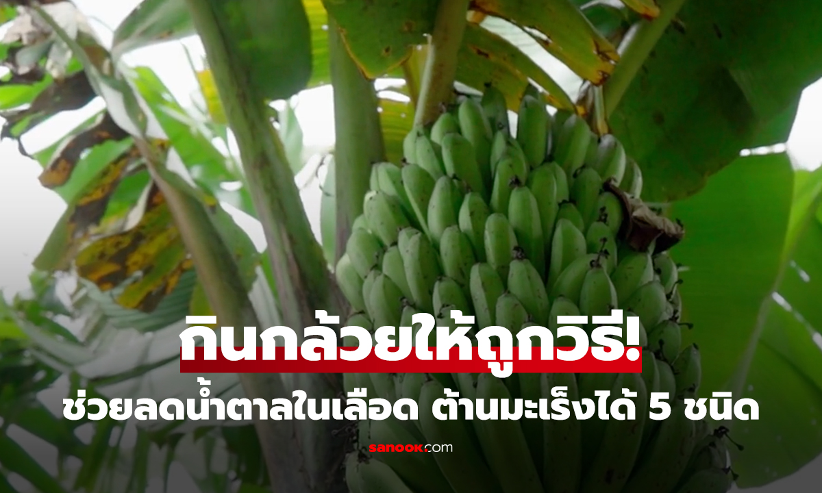 แนะกินกล้วยแบบนี้ มีแป้งสูงมาก “แต่” ช่วยลดน้ำตาลในเลือด และป้องกันมะเร็ง 5 ชนิด!