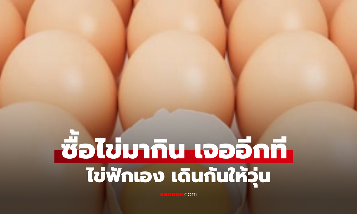 ไม่อยู่บ้านแค่ 2 วัน! ไข่ไก่แปลงร่าง เปิดประตูแทบช็อก เดินกันเต็มบ้าน!