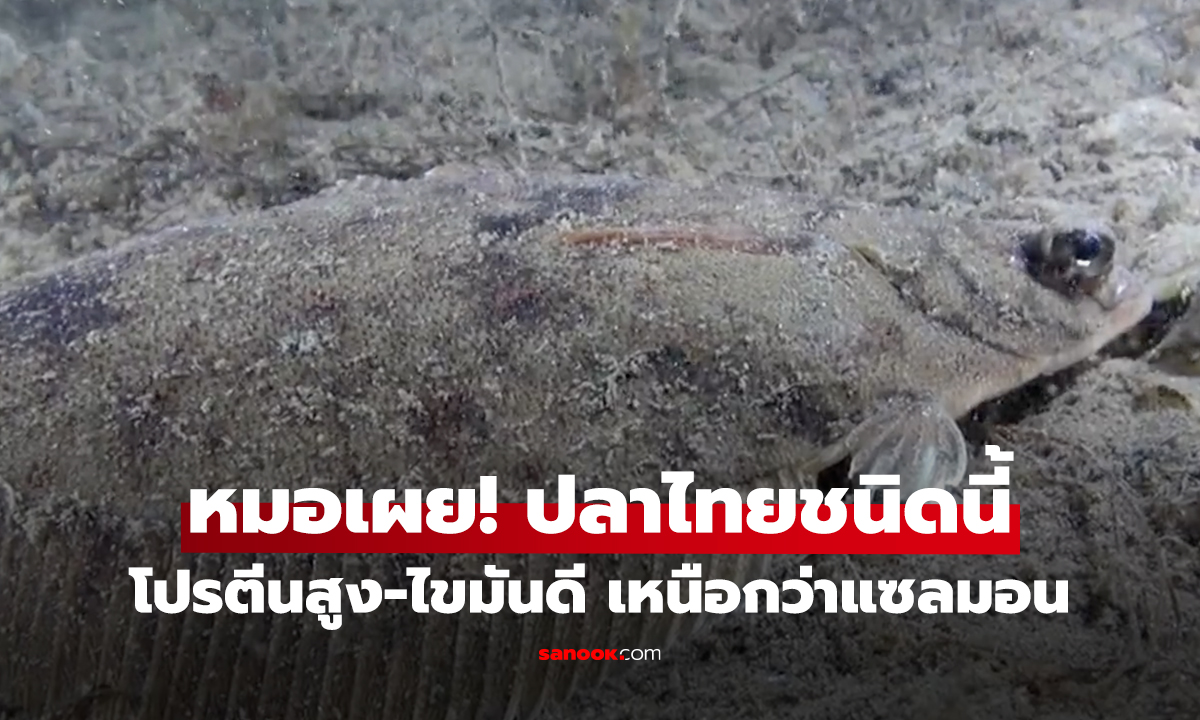 หมอเผย! ปลาไทยชนิดนี้ โปรตีนสูง-ไขมันดี เหนือกว่าแซลมอน