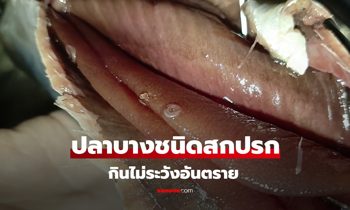 ปลาบางชนิดสกปรก กินไม่ระวังอันตราย