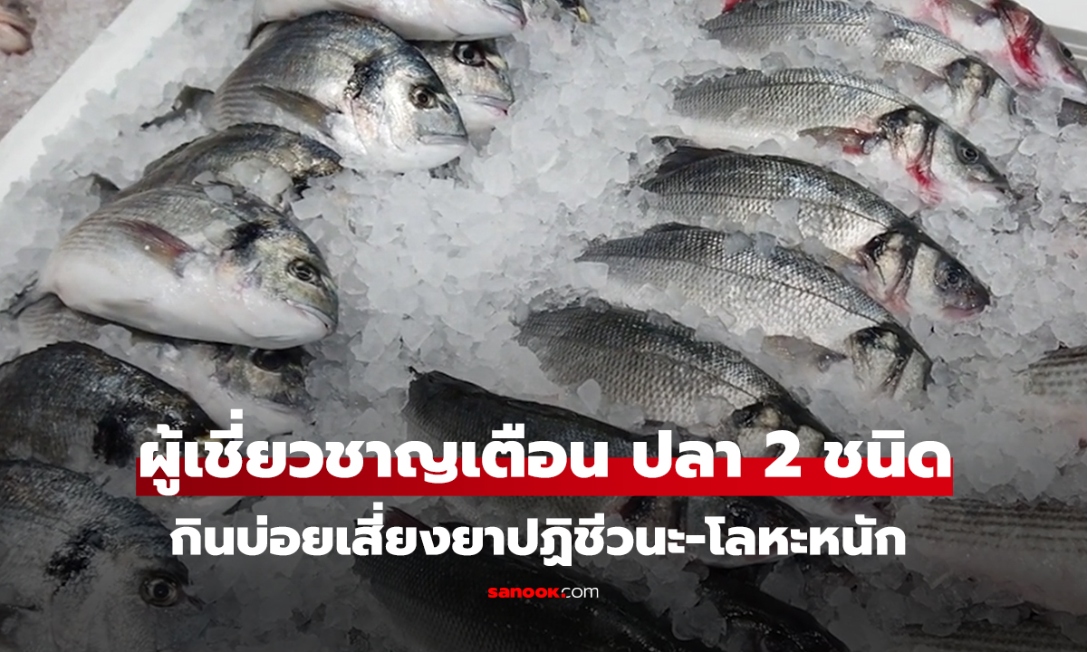ผู้เชี่ยวชาญเตือน ปลา 2 ชนิด กินบ่อยเสี่ยงยาปฏิชีวนะ-โลหะหนัก