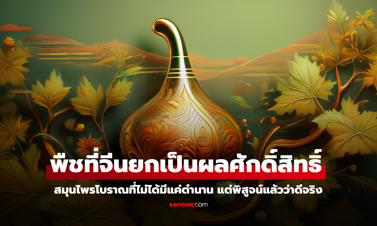 พืช 1 ชนิด ผลไม้ศักดิ์สิทธิ์