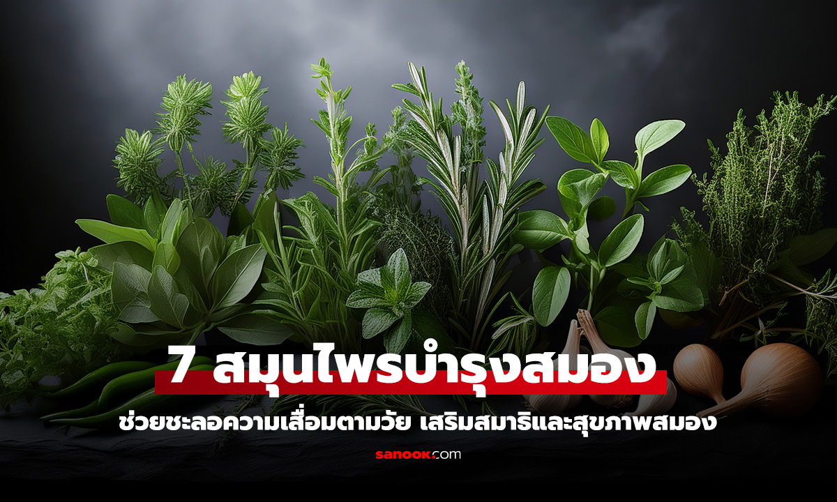 7 สมุนไพรบำรุงสมอง เพิ่มความจำ ลดหลงลืม สมาธิชัดเจน