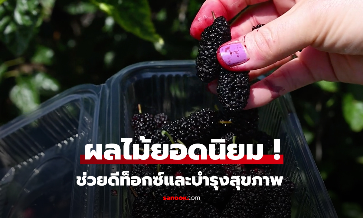 ผลไม้ยอดนิยม ! ช่วยดีท็อกซ์และบำรุงสุขภาพ
