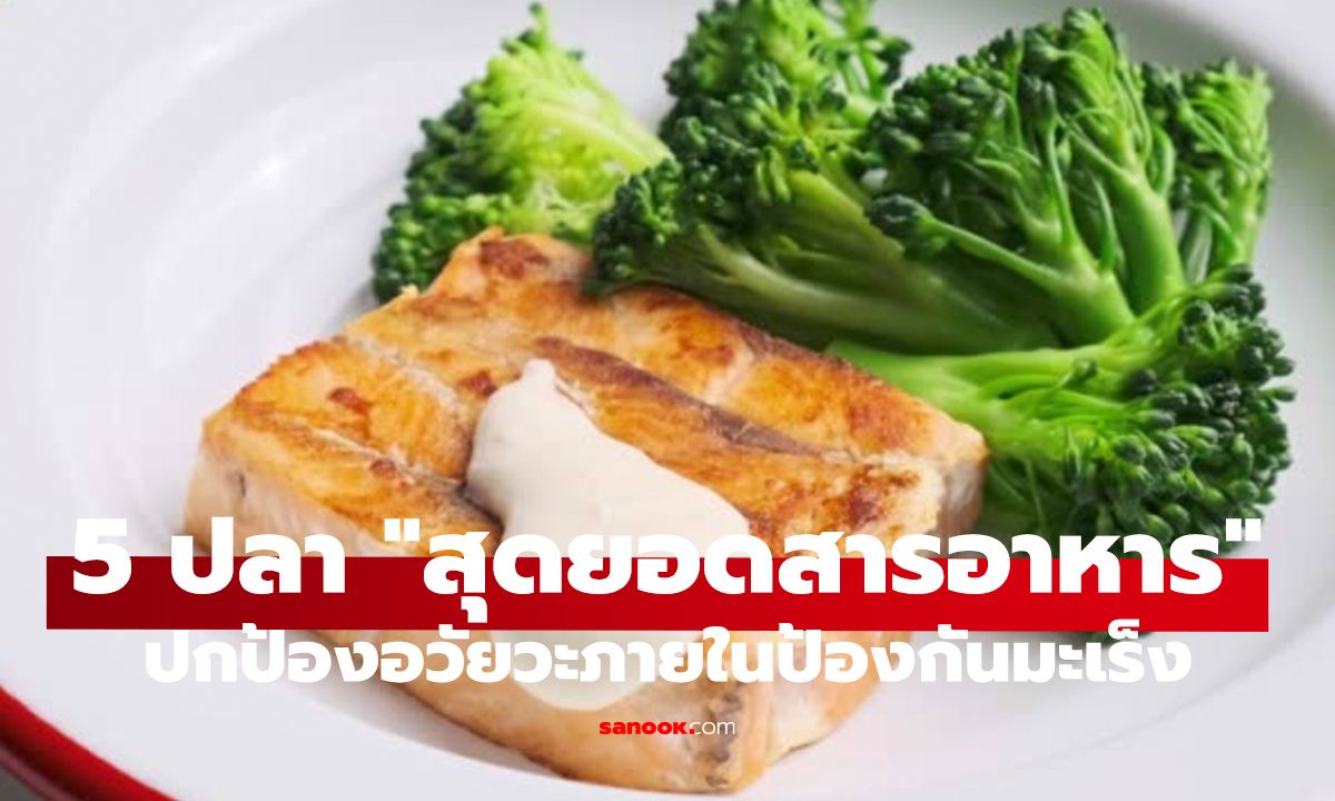 ไทยมีครบ! 5 ปลาสุดยอดสารอาหาร ช่วยบำรุงอวัยวะ-ป้องกันมะเร็ง