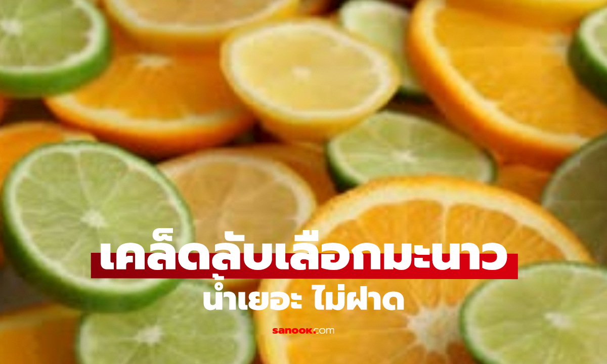 เคล็ดลับเลือกมะนาวให้น้ำเยอะ พร้อมวิธีเก็บให้สดนาน