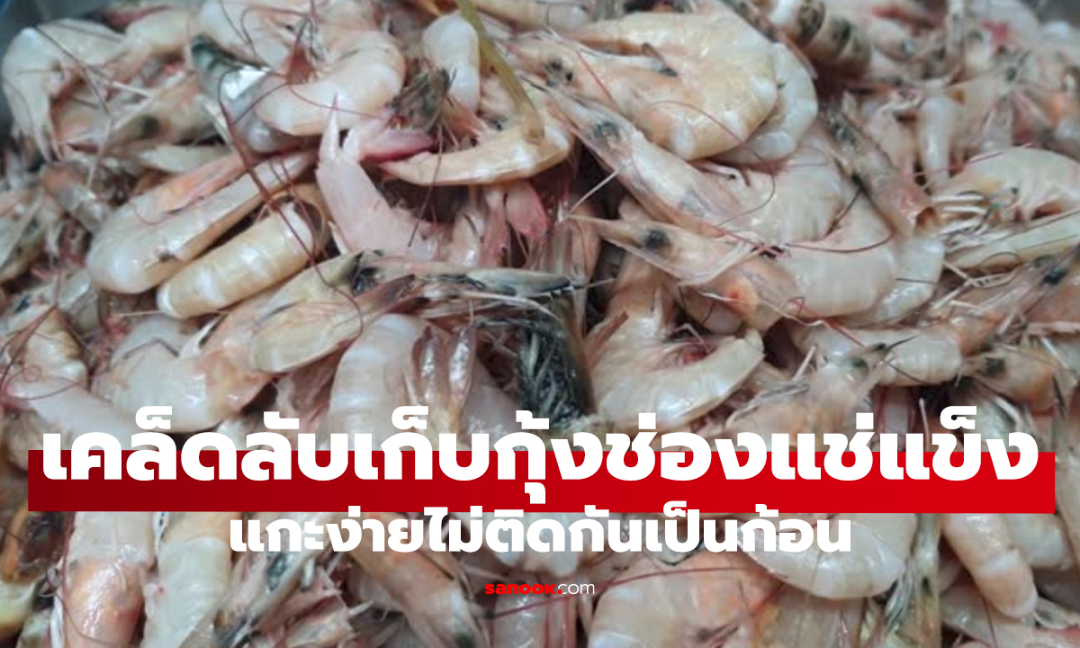 5 เคล็ดลับเก็บกุ้งในช่องฟรีซ แกะง่าย ตัวไม่ติดกัน!
