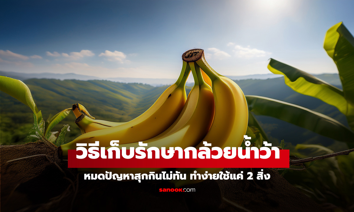 วิธีเก็บรักษากล้วยน้ำว้า หมดปัญหาสุกกินไม่ทัน