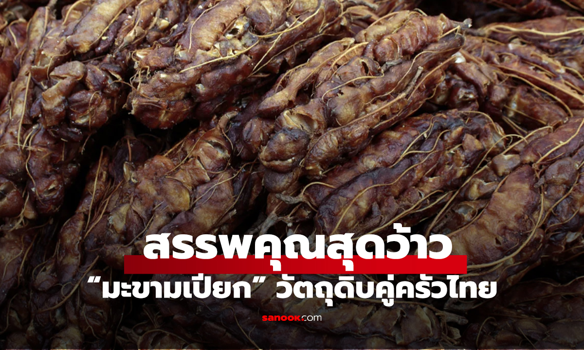 “มะขามเปียก” วัตถุดิบคู่ครัวไทยกับสรรพคุณสุดว้าว ที่เป็นมากกว่าแค่เครื่องปรุง!