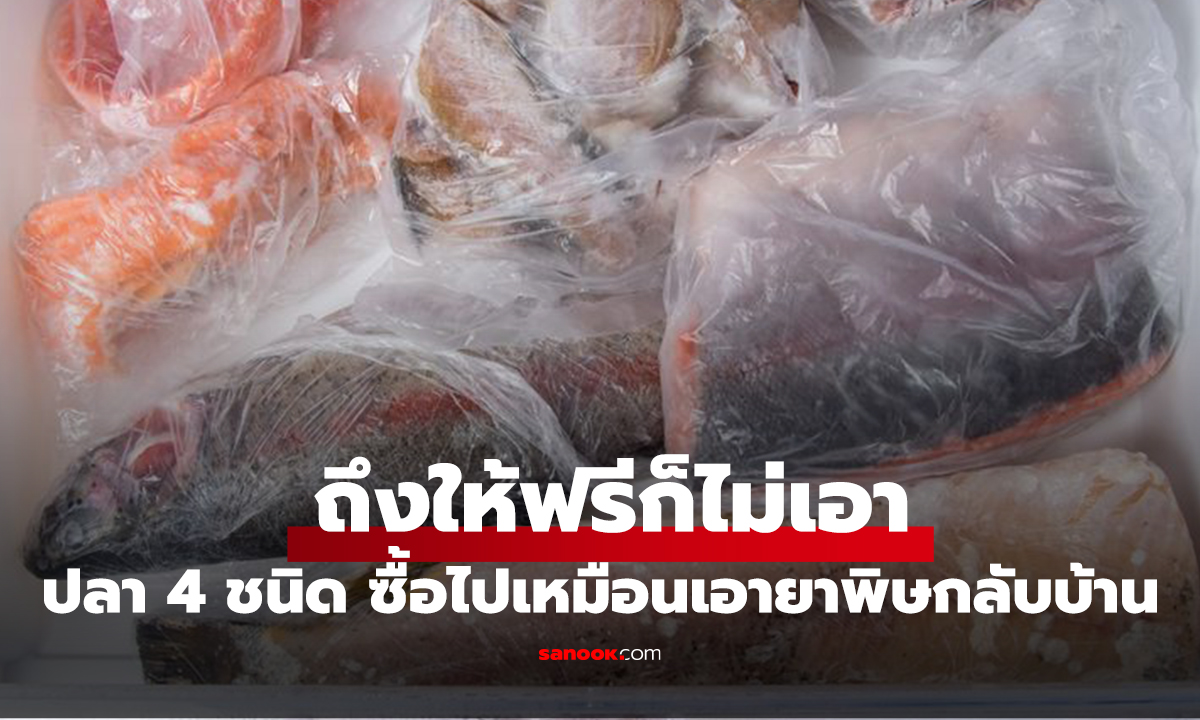 ปลา 4 ชนิด ถึงให้ฟรีก็ไม่เอา พ่อค้าปลาเตือนเอง ซื้อไปเหมือนเอายาพิษกลับบ้าน