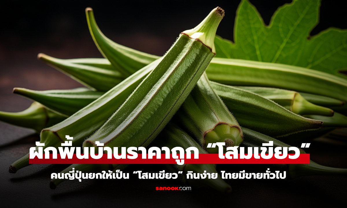 กระเจี๊ยบเขียว ผักพื้นบ้านราคาถูก ลดไขมัน น้ำตาล ดูแลหัวใจ