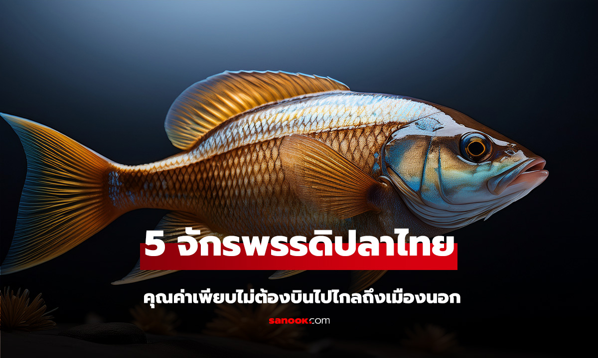 ไม่ต้องไปถึงญี่ปุ่น! รวม 5 จักรพรรดิ 