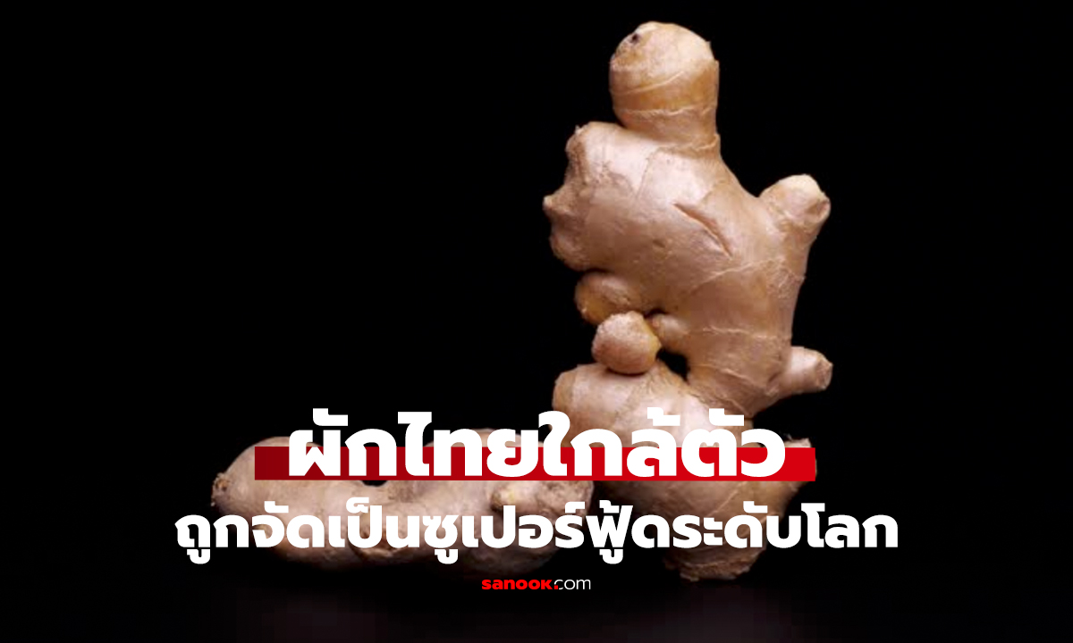 หมอเมืองนอกยืนยัน!   ผักซูเปอร์ฟู้ดราคาถูก มีขายทุกตลาด