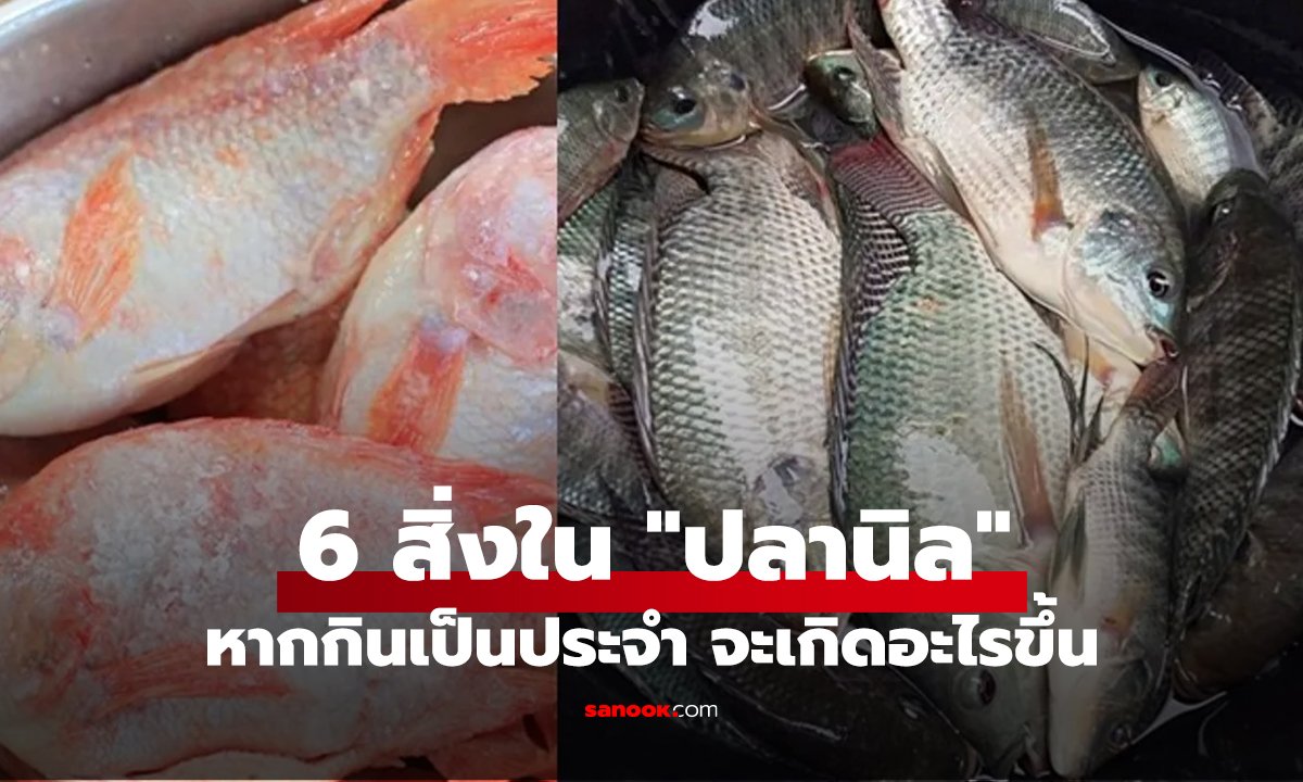 6 สิ่งใน 