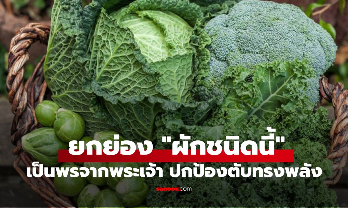หมอสหรัฐฯ ยกย่อง 
