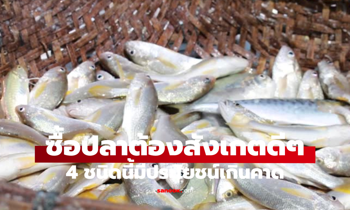 ไปตลาดต้องรู้!   4 ปลาคุณค่าทางโภชนาการสูง