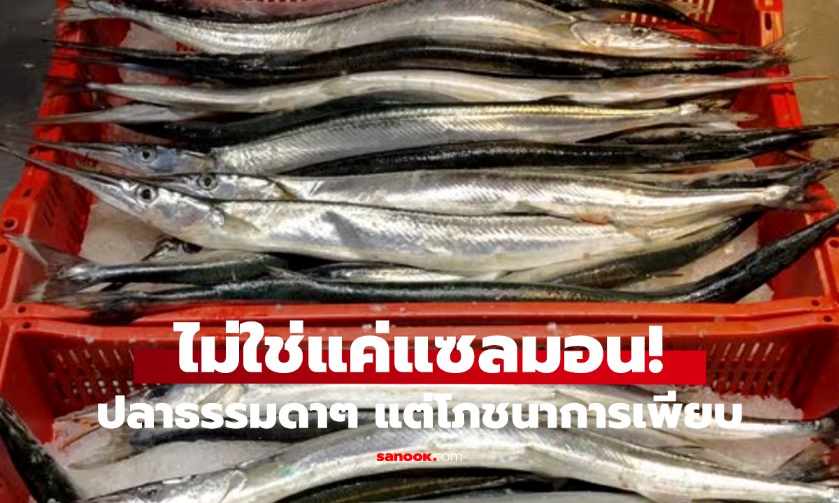 สุดเซอร์ไพรส์!   ปลาบ้านๆ คุณค่าเทียบชั้นแซลมอน