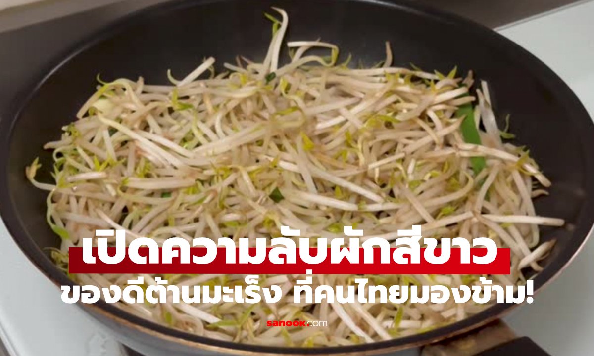 คนไทยกินบ่อยแต่ไม่รู้!   ผักสีขาวชนิดนี้ โปรตีนสูง ต้านมะเร็งได้