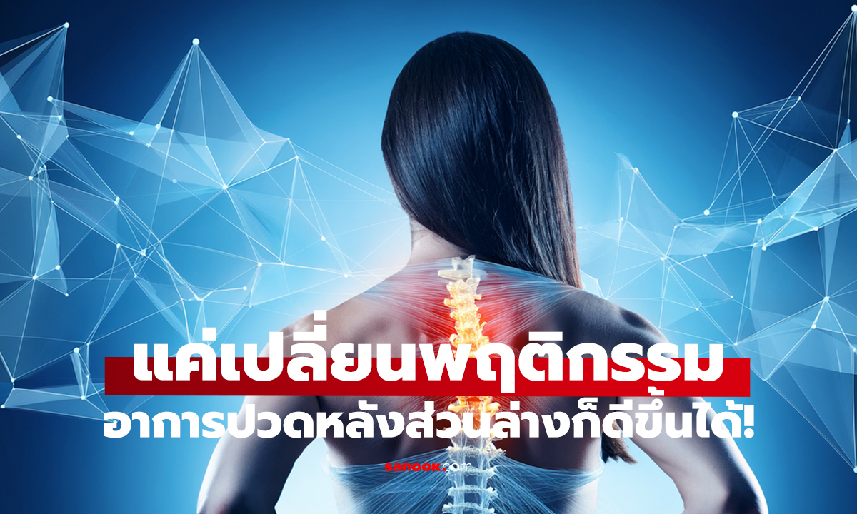 ปวดหลังส่วนล่างบ่อย?   รวมสาเหตุและวิธีแก้ให้ดีขึ้น!