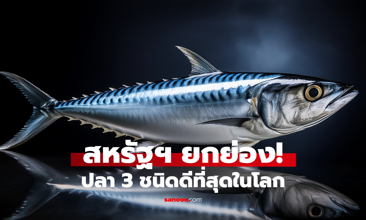 3 ปลาที่อเมริกาเรียกว่า “ดีที่สุดในโลก”   แต่คนไทยกลับมองข้าม!
