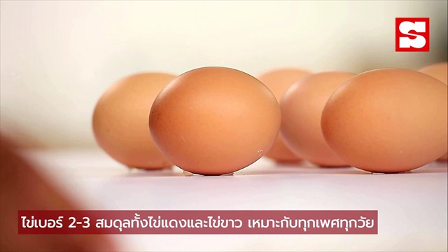 คลิป ไข่ไก่ แต่ละเบอร์ เหมาะกับคนต่างกัน ไม่ใช่แค่เรื่องฟองใหญ่-เล็ก สารอาหารต่างกัน!