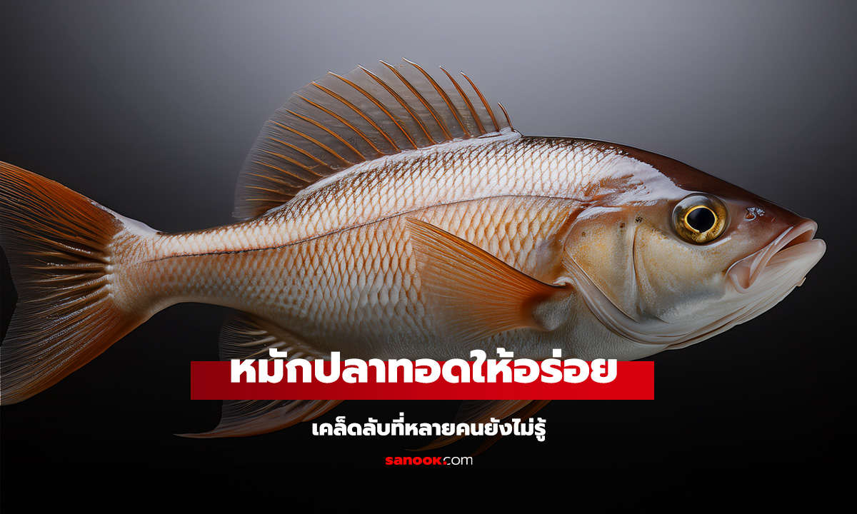 วิธีหมักปลาทอดให้อร่อย หอม ไม่กระเด็น เคล็ดลับที่หลายคนยังไม่รู้
