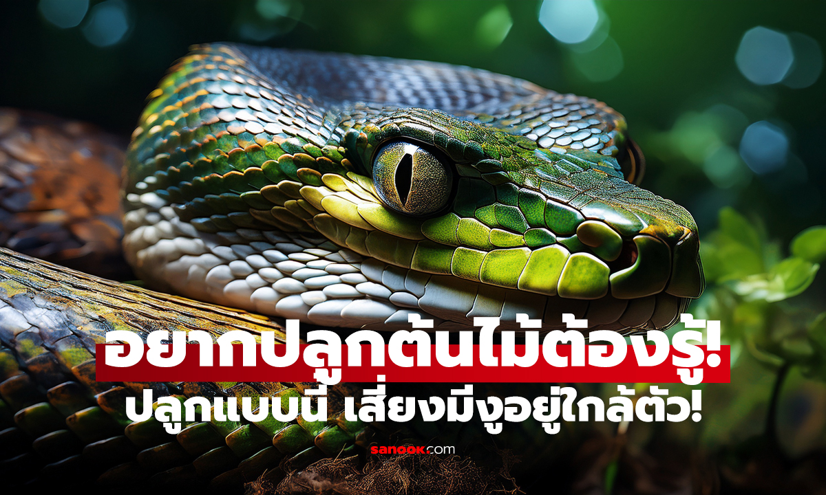 เช็กเลย! ต้นไม้เรียกงูเข้าบ้าน   ปลูกแบบนี้ เสี่ยงมีงูอยู่ใกล้ตัว!