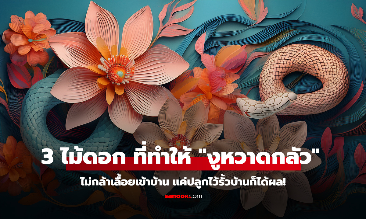 คลิป 3 ไม้ดอก ที่ทำให้ 