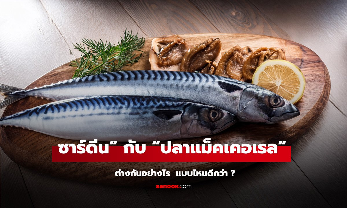 “ปลาซาร์ดีน” กับ “ปลาแม็คเคอเรล” ต่างกันอย่างไร? แบบไหนแพงกว่า-มีประโยชน์มากกว่า?