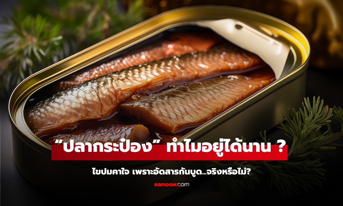 ไขปมคาใจ 'ปลากระป๋อง' อยู่ได้นานเพราะอัดสารกันบูด! สรุปให้จบ...จริงหรือไม่?