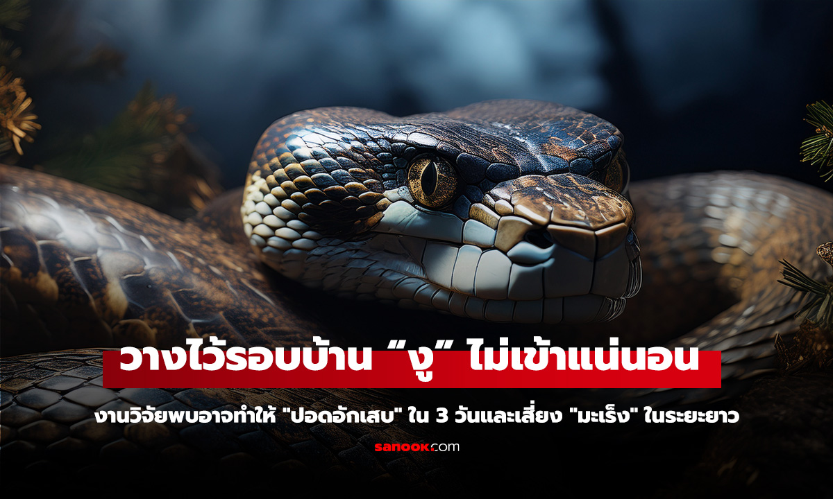 รวมมาให้แล้ว! 7 กลิ่นที่งูกลัวมาก วางไว้รอบบ้าน งูจะไม่กล้าเข้ามาใกล้