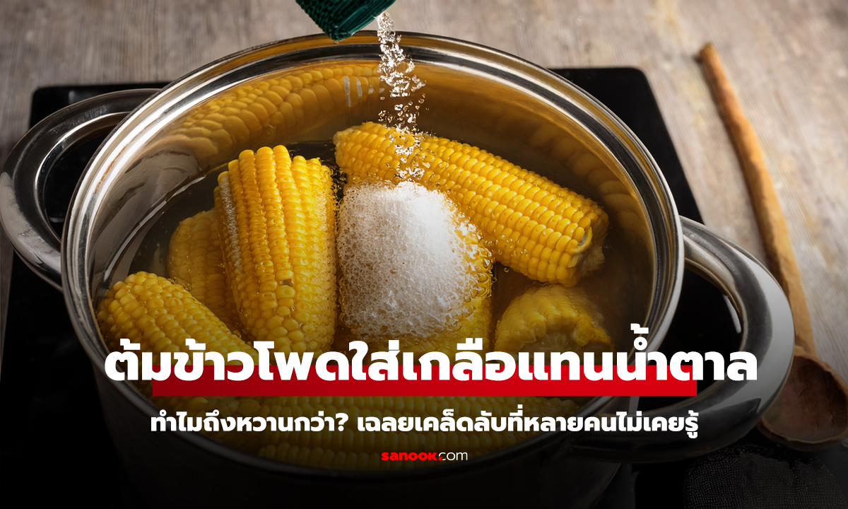 ต้มข้าวโพดใส่เกลือแทนน้ำตาล ทำไมถึงหวานกว่า? เฉลยเคล็ดลับที่หลายคนไม่เคยรู้