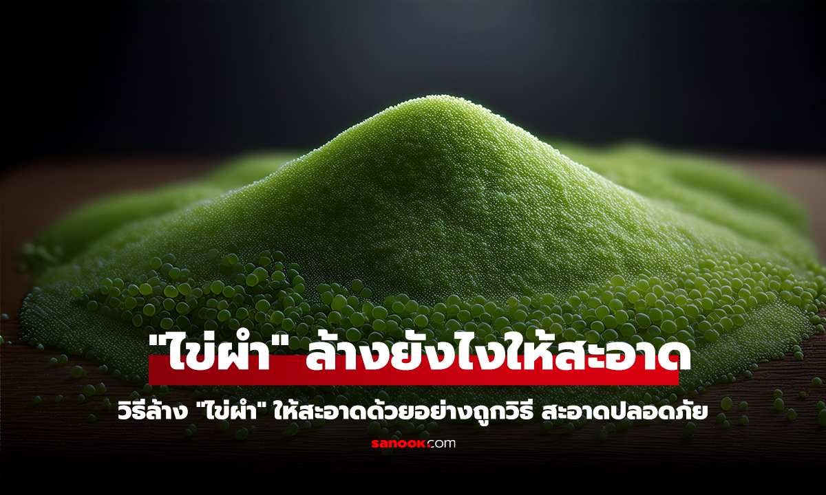 วิธีล้าง 