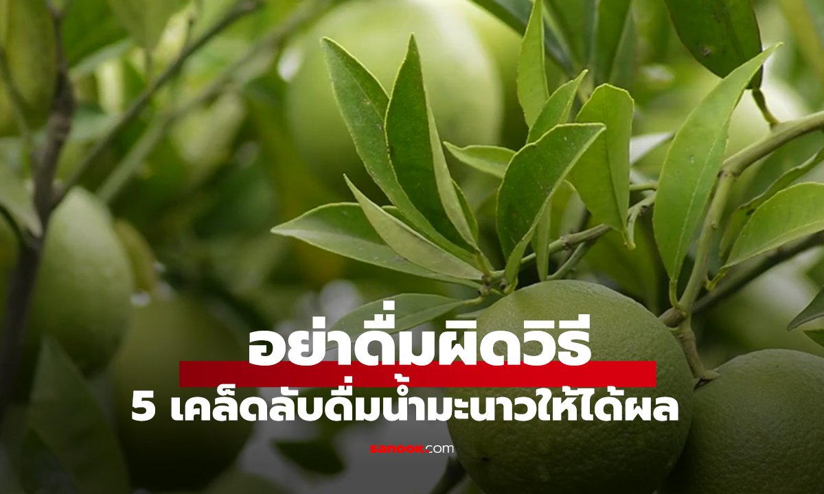 อย่าดื่มผิดวิธี! 5 เคล็ดลับดื่มน้ำมะนาวให้ได้ผล 