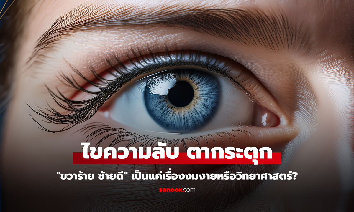 ไขความลับ: ตากระตุก 