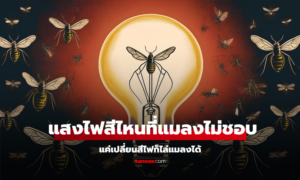 แสงไฟสีไหนที่แมลงไม่ชอบ แค่เปลี่ยนสีไฟก็ไล่แมลงได้
