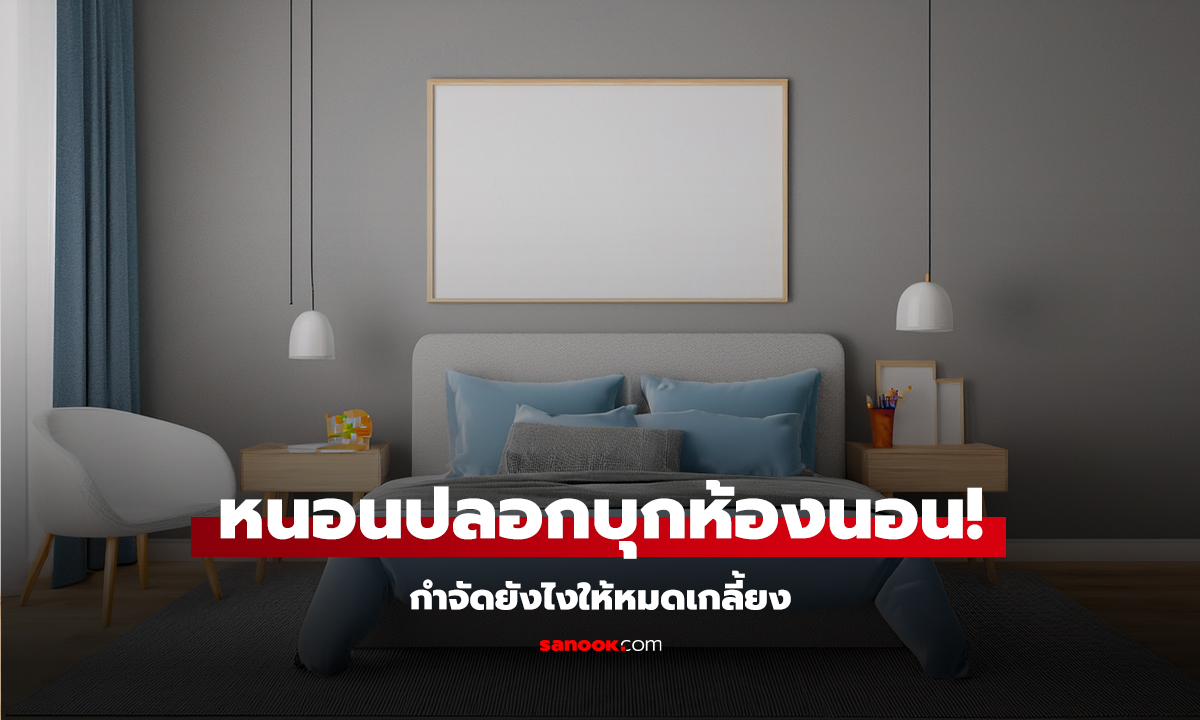 หนอนปลอกในห้องนอน มาจากไหน? กำจัดยังไงให้หมดเกลี้ยง