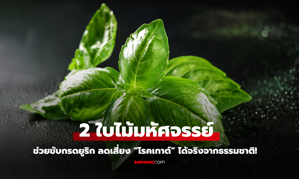 2 ใบไม้มหัศจรรย์ ช่วยขับกรดยูริก ลดเสี่ยง โรคเกาต์