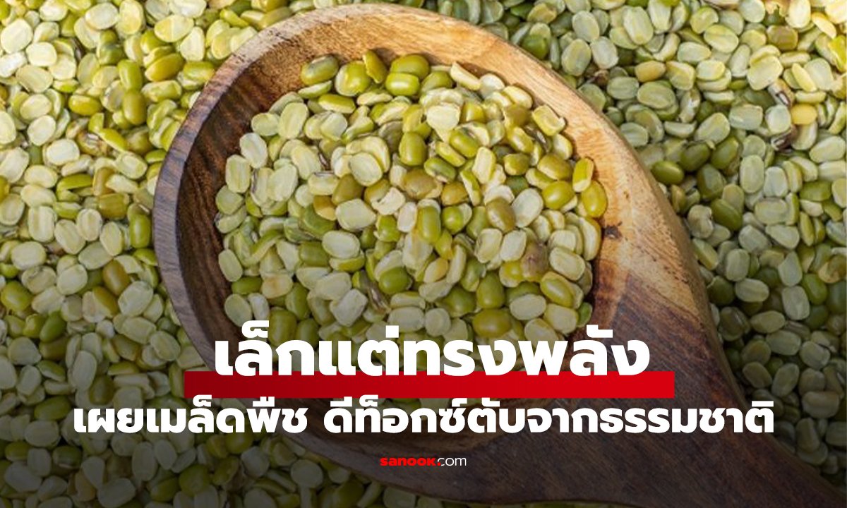 เผยเมล็ดพืช “เล็กแต่ทรงพลัง” ดีท็อกซ์ตับจากธรรมชาติ ไทยหากินง่าย มีขายทุกตลาด!