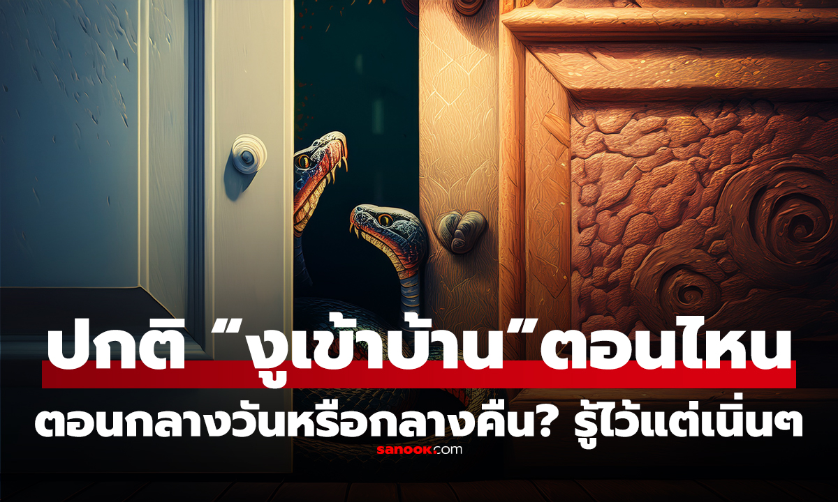ปกติ “งูเข้าบ้าน” ตอนกลางวันหรือกลางคืน? รู้ไว้แต่เนิ่นๆ จะได้ไม่เสียใจเมื่อสายไป!