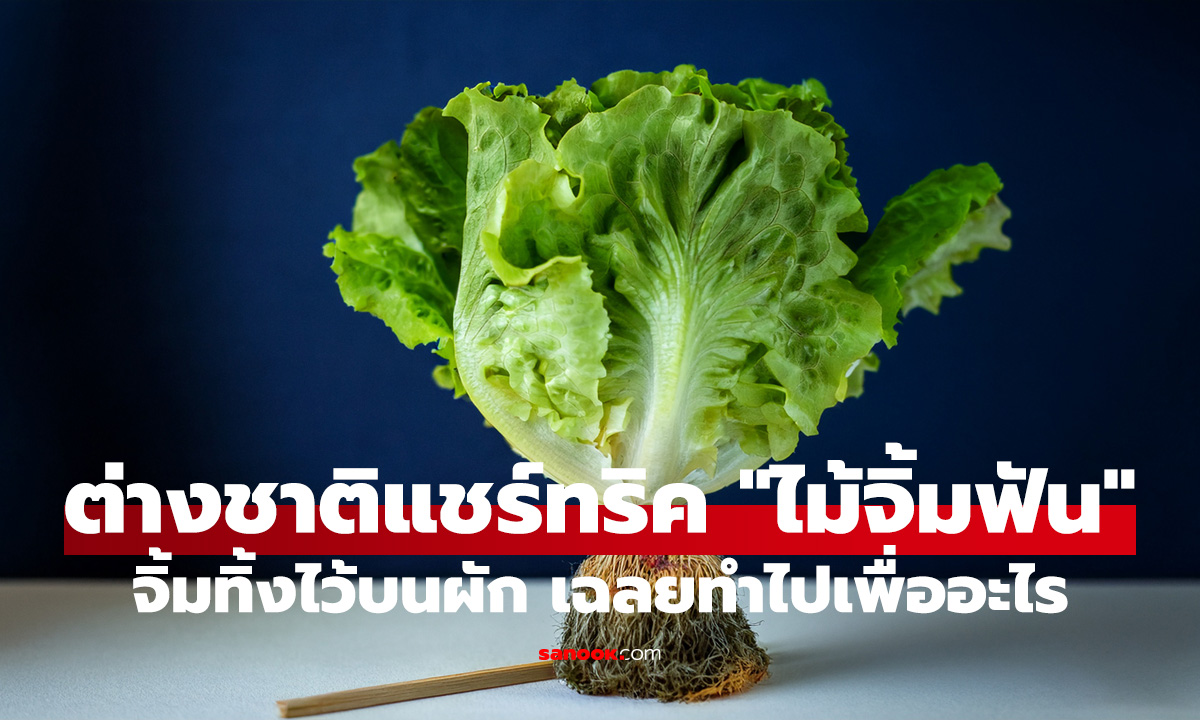 ต่างชาติแชร์ทริค 