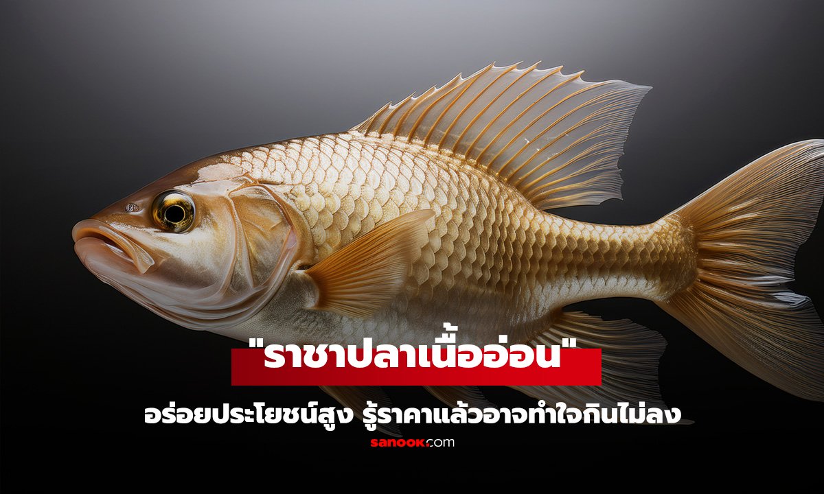 ปลาไทยฉายา 