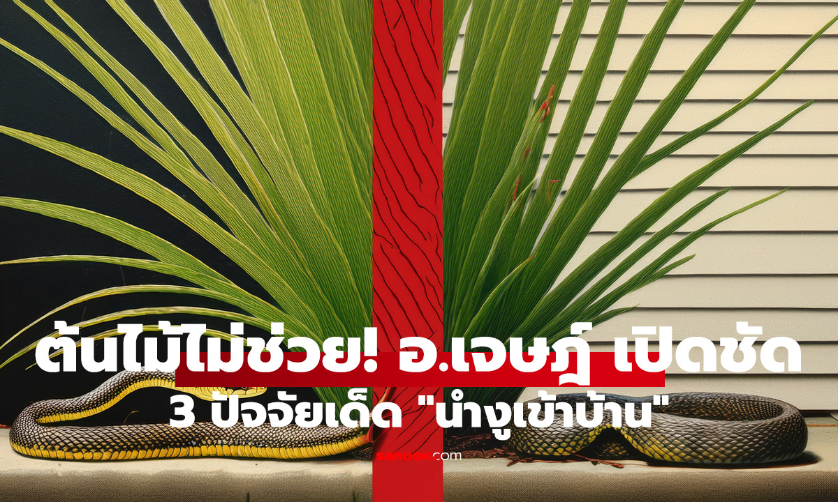 ต้นไม้ไม่ช่วย! อ.เจษฎ์ เปิดชัด 3 ปัจจัยเด็ด 
